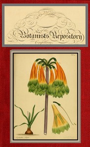 Cover of The botanist's repository for ne...