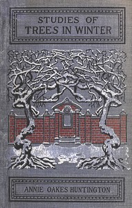 Cover of Studies of trees in winter — A Reader’s Guide