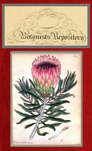 Cover of The botanist's repository for ne...