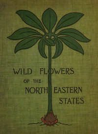 Cover of Wild flowers of the north-easter...