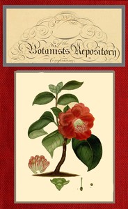 Cover of The botanist's repository for ne...